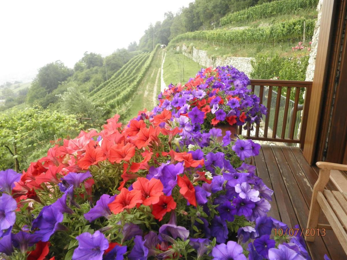B&B Al Ghiro Villa Lagarina Стая снимка